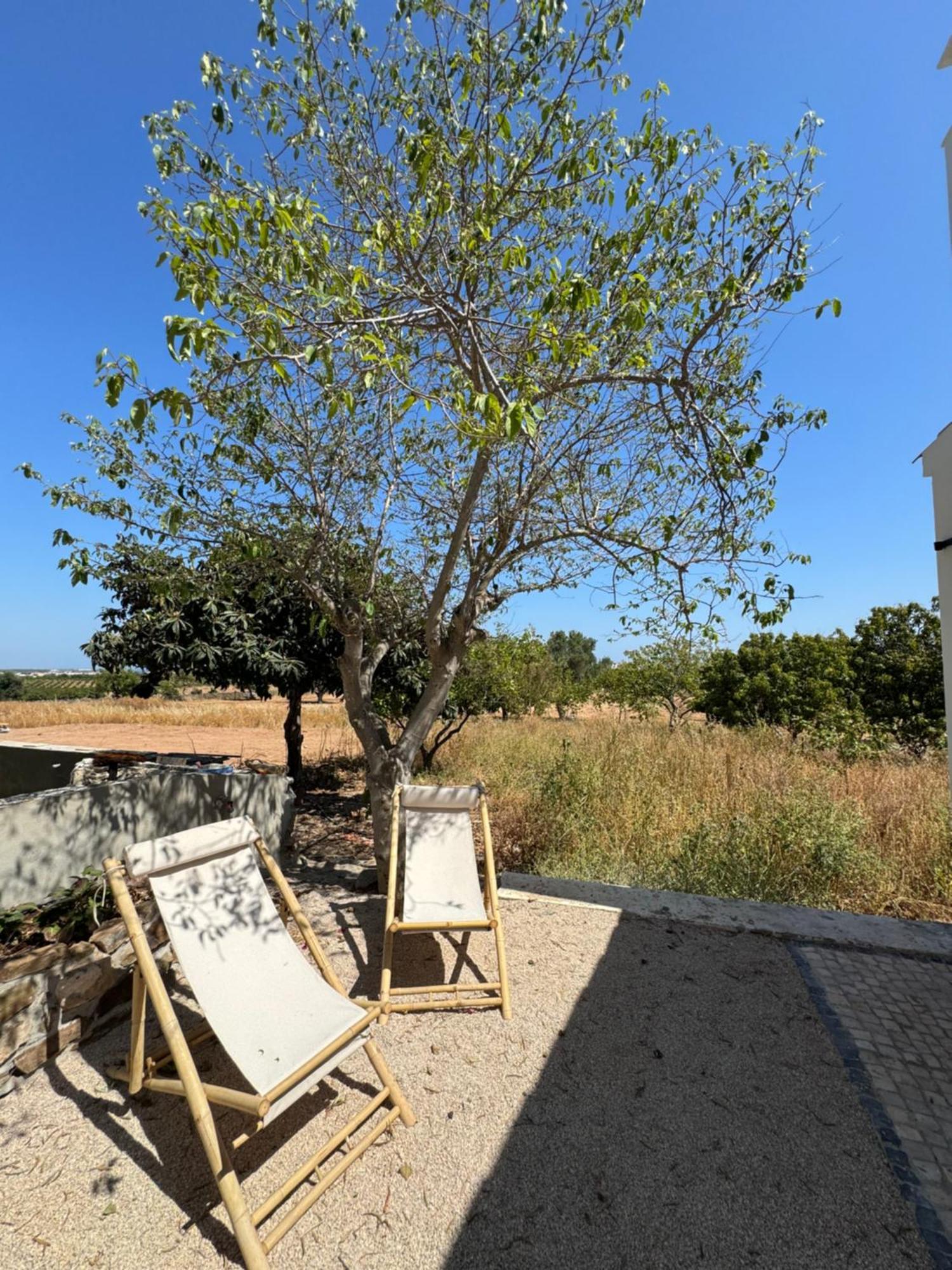 Quinta Castor Villa Vila Nova de Cacela Exterior foto
