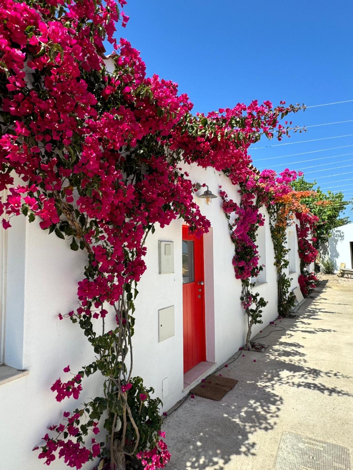 Quinta Castor Villa Vila Nova de Cacela Exterior foto