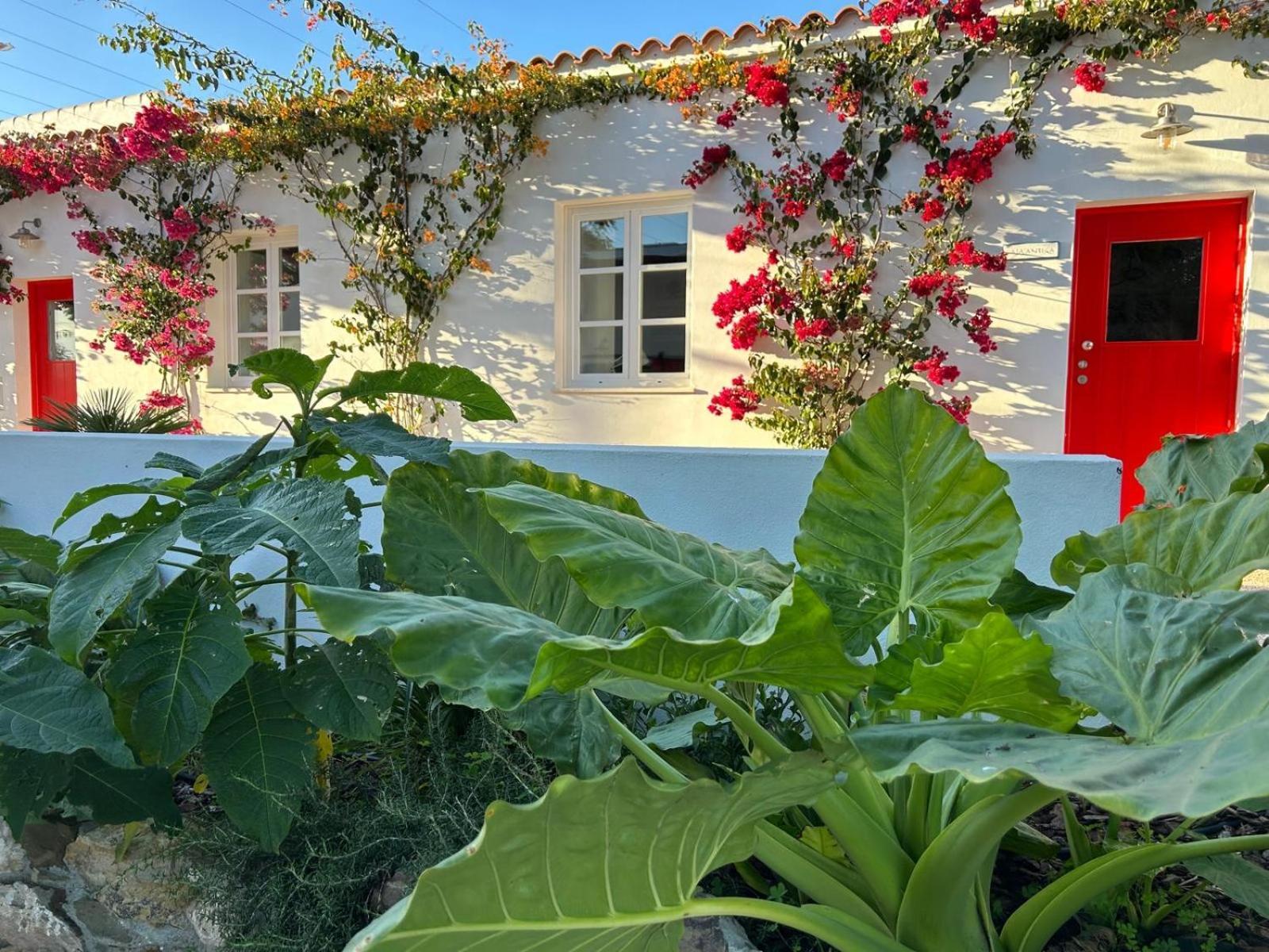 Quinta Castor Villa Vila Nova de Cacela Exterior foto